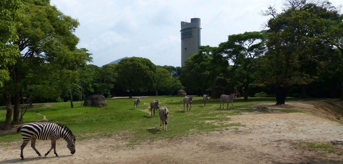 Toyohashi Zoo & Botanical Park Nonhoi Park