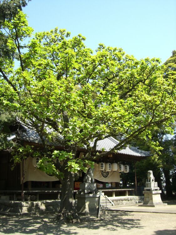 熊野神社