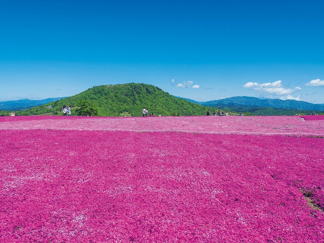 アクティビティも体験できる、家族連れも楽しい茶臼山高原コース